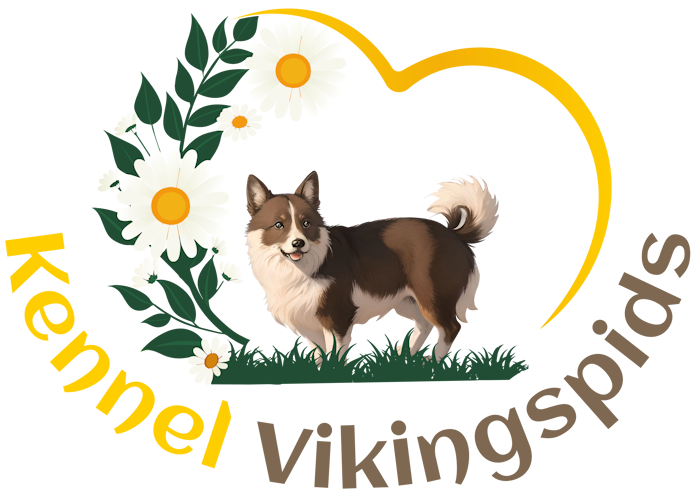 Kennel-Vikingspids
